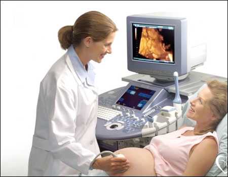 鲜胚移植成功经验分享与供卵费用解析