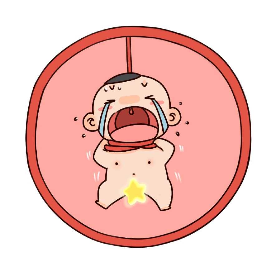 输卵管切除后试管婴儿成功率影响因素解析